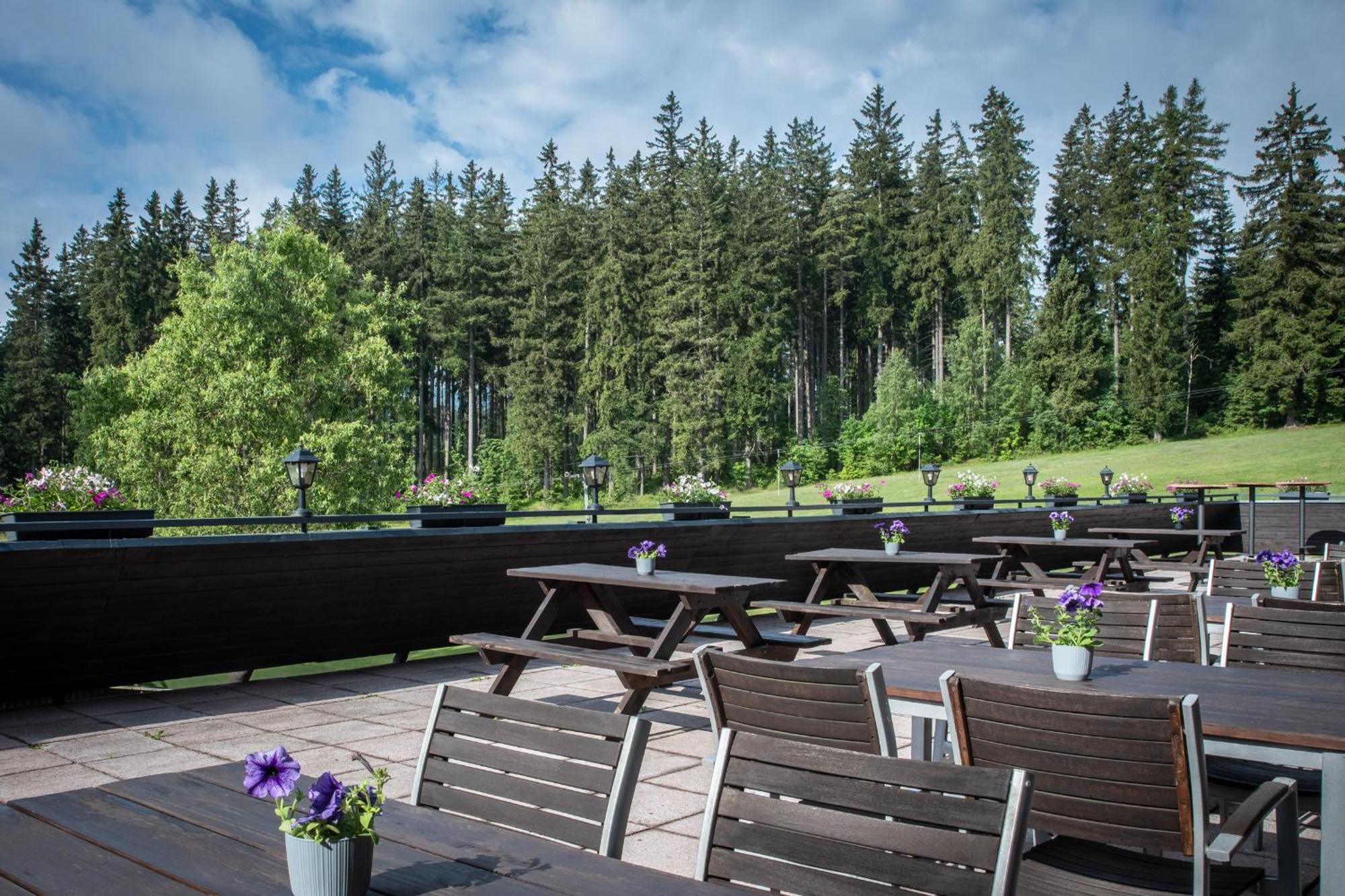 Wellness Hotel Sedy Vlk Harrachov Buitenkant foto